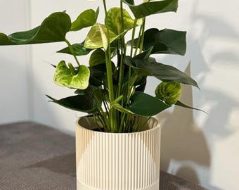 Japandi flower pot - modern design - decorative vase - waterproof - Christmas gift