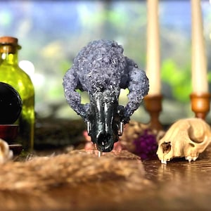 May include: A decorative skull sculpture with a crystal-like texture, in shades of gray and black, is the focal point. A green bottle, a black sphere, and a small skull are also visible, creating a gothic or occult theme.