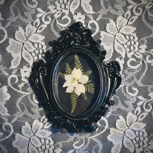 Sierlijke ingelijste gedroogde florakunst - geperste bloem display
