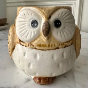 May include: A ceramic owl-shaped mug or planter featuring a cream-colored body with subtle indentations and a brown-glazed upper section. The owl has large, round, white-rimmed eyes with dark pupils and a small, pointed, brown-colored beak.
