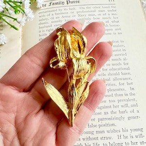 May include: A gold-toned metal iris flower brooch. The brooch features detailed petals and a stem with a leaf. The floral design is a classic accessory, suitable for adding a touch of elegance to any outfit.