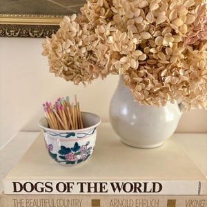 May include: A white ceramic pitcher filled with dried beige hydrangea flowers, a small white bowl with floral patterns containing wooden matches with pink and blue tips, and two stacked books titled Dogs of the World and The Beautiful Country.