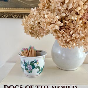May include: A small white ceramic cup decorated with a colorful floral pattern containing wooden matches with light blue and pink tips, positioned next to a white vase filled with dried beige hydrangea flowers on a book titled Dogs of the World.