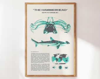 Hammerhead Shark Wall Art | Aquatic Animals Wall Art | Sharks Print | Wall Art for Animal Lovers | Marine Biology Prints | Shark Species