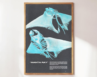 Manta Ray Wall Art | Aquatic Animals Wall Art | Stingray Print | Wall Art for Animal Lovers | Marine Biology Prints | Aquarium Decor