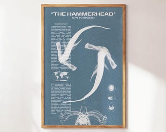 Hammerhead Shark Wall Art | Aquatic Animals Wall Art | Sharks Print | Wall Art for Animal Lovers | Marine Biology Prints | Shark Species