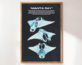 Manta Ray Wall Art | Aquatic Animals Wall Art | Stingray Print | Wall Art for Animal Lovers | Marine Biology Prints | Aquarium Decor