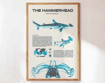 Hammerhead Shark Wall Art | Aquatic Animals Wall Art | Sharks Print | Wall Art for Animal Lovers | Marine Biology Prints | Shark Species