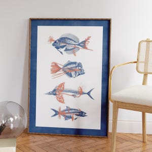 May include: Framed art print featuring four detailed illustrations of fish skeletons in blue and coral. The artwork is displayed in a wooden frame with a navy blue mat, creating a striking contrast. The print is a unique piece of wall decor.