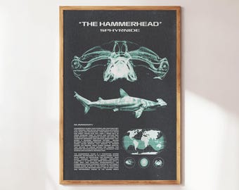 Hammerhead Shark Wall Art | Aquatic Animals Wall Art | Sharks Print | Wall Art for Animal Lovers | Marine Biology Prints | Shark Species