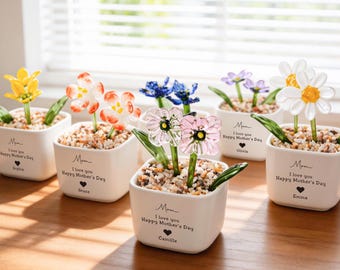 Planta en maceta de vidrio de colores personalizada, flor de nacimiento hecha a mano en maceta de vidrio, regalo del Día de la Madre para mamá, gracias por ayudarme a crecer, regalo para mamá