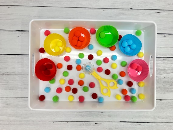Pom Pom Color Sorting Sensory Bin: Kids Activity Kit