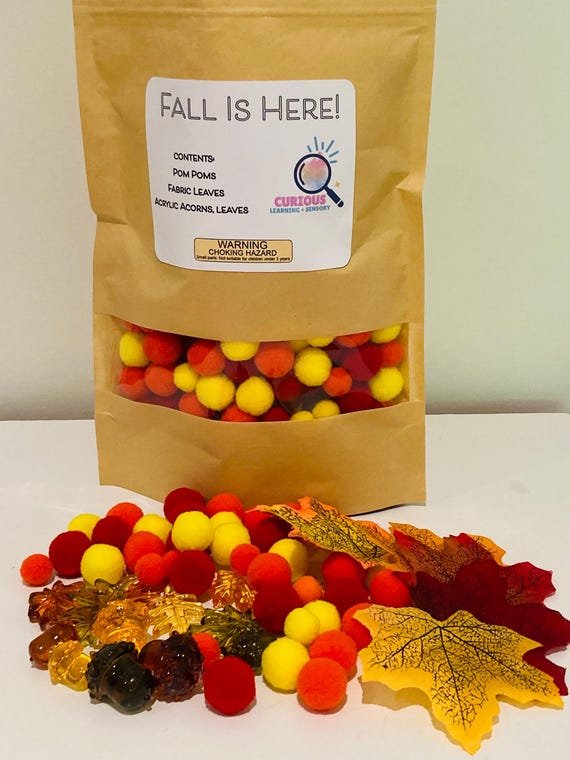 Fall is Here Sensory Pack: Kids Activity Kit