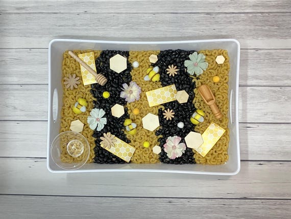 Bee Sensory Bin: Kids Activity Kit, Educational Montessori Toy