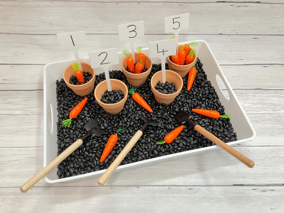 Gardening Sensory Bin for Kids: Carrot Patch Activity Kit