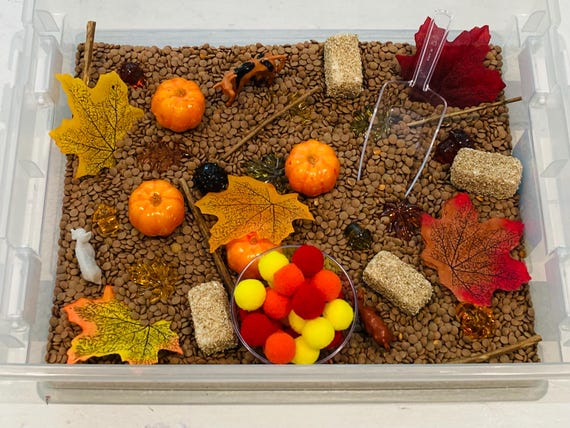 Fall Pumpkin Patch Sensory Bin: Kids Activity Kit