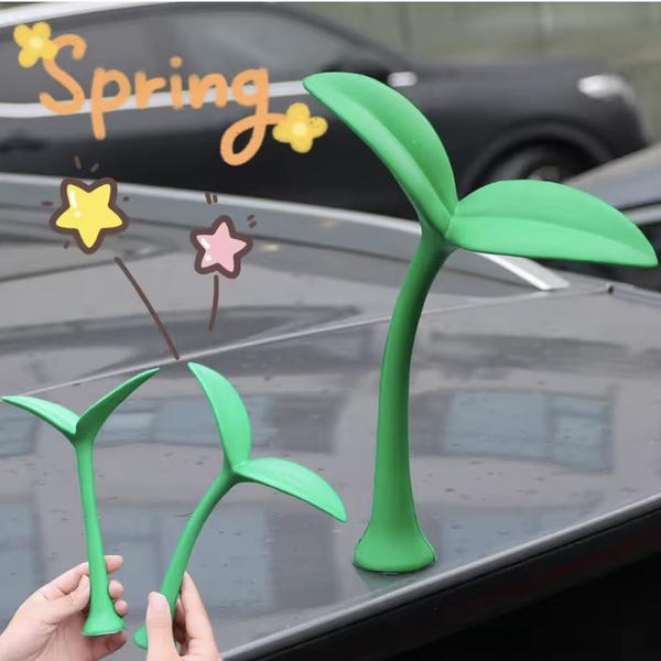 Car Sapling Decoration