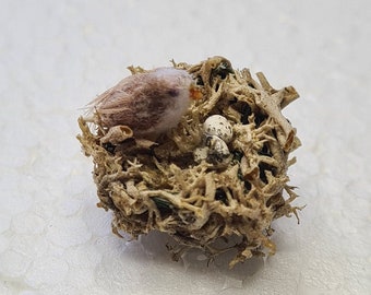 Dollhouse miniature bird nest 1/12 scale