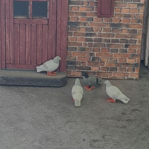 May include: Miniature figurines of pigeons with gray and white bodies and orange feet are gathered near a red door and brick wall. The scene is set on a gray surface, creating a detailed diorama.
