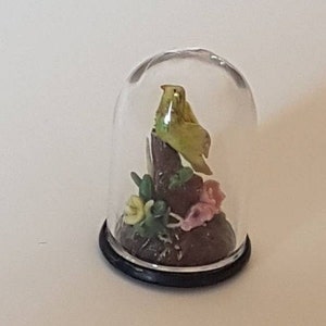 Pequeño pájaro dentro de una urna de cristal, escala 1/12