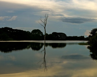 The Pond at Pocri