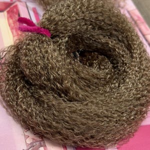 DG Nylon Crimped 2Tone Cacao Blend NH024 1oz/28g 36inch/92cm brown Doll Hair