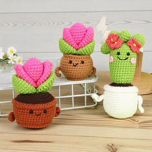 Handmade Crochet Plant, Amigurumi Succulent, Knitted Cactus Doll, Desk Decor, Small Potted Plant Gift, Home Decor, Gift for Her