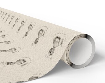 Papel de regalo para el 250.º cumpleaños de Jane Austen