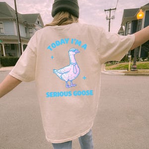 May include: Beige t-shirt with a blue graphic of a goose wearing sunglasses and a tie. The text "TODAY I'M A" and "SERIOUS GOOSE" are above and below the goose illustration. The shirt is oversized.