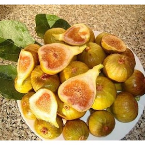 Può includere: Un piatto bianco pieno di fichi freschi, alcuni tagliati a metà per rivelare l'interno rosso e bianco. I fichi sono un mix di tonalità verdi e gialle, con alcune foglie di fico. Uno spuntino sano.