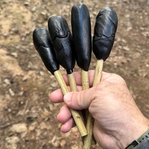 2oz Pure Pine Pitch | Natural Resin for Bushcraft, Fire Starters, and Primitive Tools | Handmade Survival & Primitive Craft Material