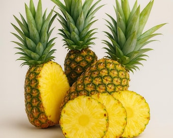 10 Grandissimo Gold Pineapple Seeds – Sweet Ananas comosus Tropical Fruit Plant for Home Garden