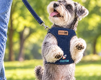 Könnte beinhalten: Ein dunkelblaues Hundegeschirr aus Denim mit passender Leine. Das Geschirr hat einen braunen rechteckigen Aufnäher mit dem Text FASHION und einem Bärensymbol sowie eine kleine Raketengrafik über dem in Hellblau gestickten Wort CUSTOM.