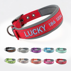 Personalized Dog Collar, Embroidered Dog Collar, Custom Dog Collar with Name and Phone Number, Gift for Dog Mom/Dad, Dog Collar & Leash Set