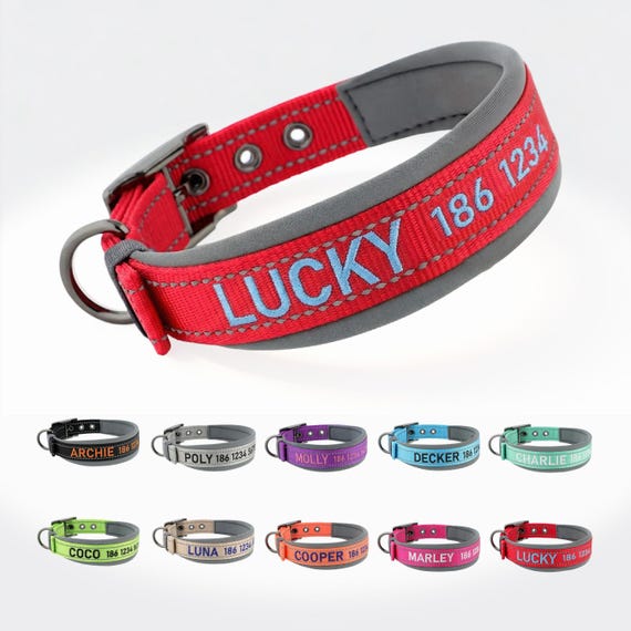 Personalized Dog Collar, Embroidered Dog Collar, Custom Dog Collar with Name and Phone Number, Gift for Dog Mom/Dad, Dog Collar & Leash Set