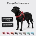Dog Harness, Dog Collar Alternative, Custom Personalized Dog Harness with Name and Phone Number, Gift for Dog Lover, Dog Harness & Leash Set product logo