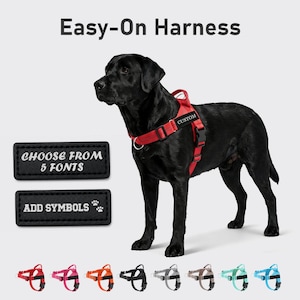 Dog Harness, Dog Collar Alternative, Custom Personalized Dog Harness with Name and Phone Number, Gift for Dog Lover, Dog Harness & Leash Set