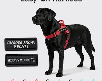 Hundegeschirr, Hundehalsband Alternative, Personalisierte Hundegeschirr mit Name und Telefonnummer, Geschenk für Hundeliebhaber, Hundegeschirr & Leine Set