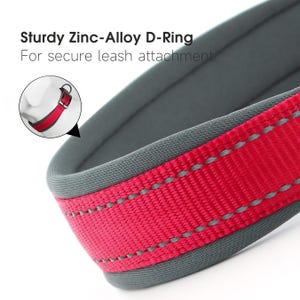 May include: Close-up of a red dog collar with a gray padded interior and trim. The collar features a sturdy zinc-alloy D-ring for leash attachment. The text on the image reads: "Sturdy Zinc-Alloy D-Ring For secure leash attachment."