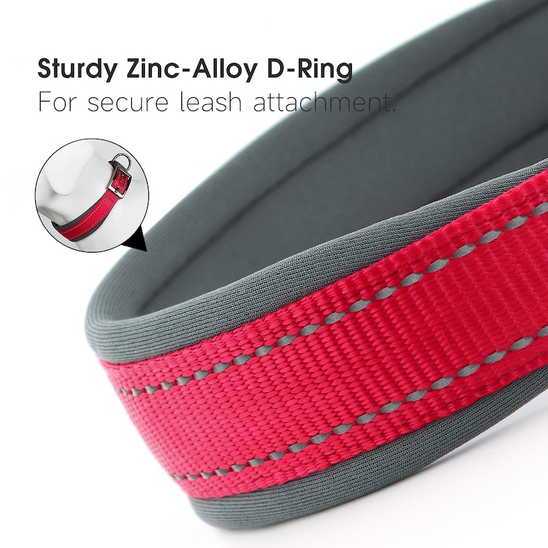 May include: Close-up of a red dog collar with a gray padded interior and trim. The collar features a sturdy zinc-alloy D-ring for leash attachment. The text on the image reads: "Sturdy Zinc-Alloy D-Ring For secure leash attachment."