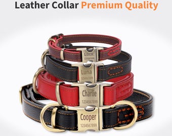 Halsband, lederen halsband, aangepaste gepersonaliseerde halsband, gegraveerde leren halsband met naam en telefoonnummer