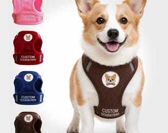Niedliches Hundegeschirr, personalisiertes Hundegeschirr, individueller Name und Telefonnummer des Haustiers, Welpengeschirr aus Cord, verstellbares, reflektierendes Welpengeschirr