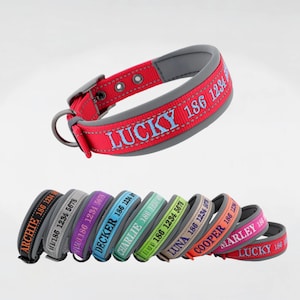 Personalized Dog Collar, Embroidered Dog Collar, Custom Dog Collar with Name and Phone Number, Gift for Dog Mom/Dad, Dog Collar & Leash Set