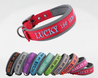 Gepersonaliseerde halsband, geborduurde halsband, aangepaste halsband met naam en telefoonnummer, cadeau voor hond moeder/vader, set halsband en riem