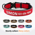 Custom Dog Collar, Personalized Dog Collar, Embroidered Dog Collar with Name and Phone Number, Gift for Dog Mom/Dad, Dog Collar & Leash Set product logo
