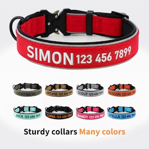 Hundehalsband personalisiert, Hundehalsband personalisiert, Besticktes Hundehalsband mit Name und Telefonnummer, Geschenk für Hundemama/Hundevater, Hundehalsband & Leine im Set Bild 1