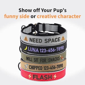 Può includere: Una pila di collari per cani in vari colori, ognuno con un testo unico. I collari includono frasi come "NEED SPACE!" e "WILL SIT FOR SNACKS." Altri collari mostrano nomi e numeri di telefono. Il collare superiore è grigio e quello inferiore è rosso.