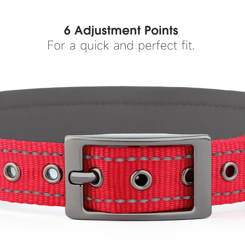 May include: Close-up of a red dog collar with a gray interior and a gunmetal buckle. The collar has reflective stitching and metal eyelets. Text reads "6 Adjustment Points For a quick and perfect fit."