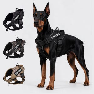May include: A black Doberman wearing a black dog harness with the word CUSTOM printed on a side patch. Three additional harness options are displayed on the left: a solid black version, a dark camouflage pattern, and a tan camouflage pattern.