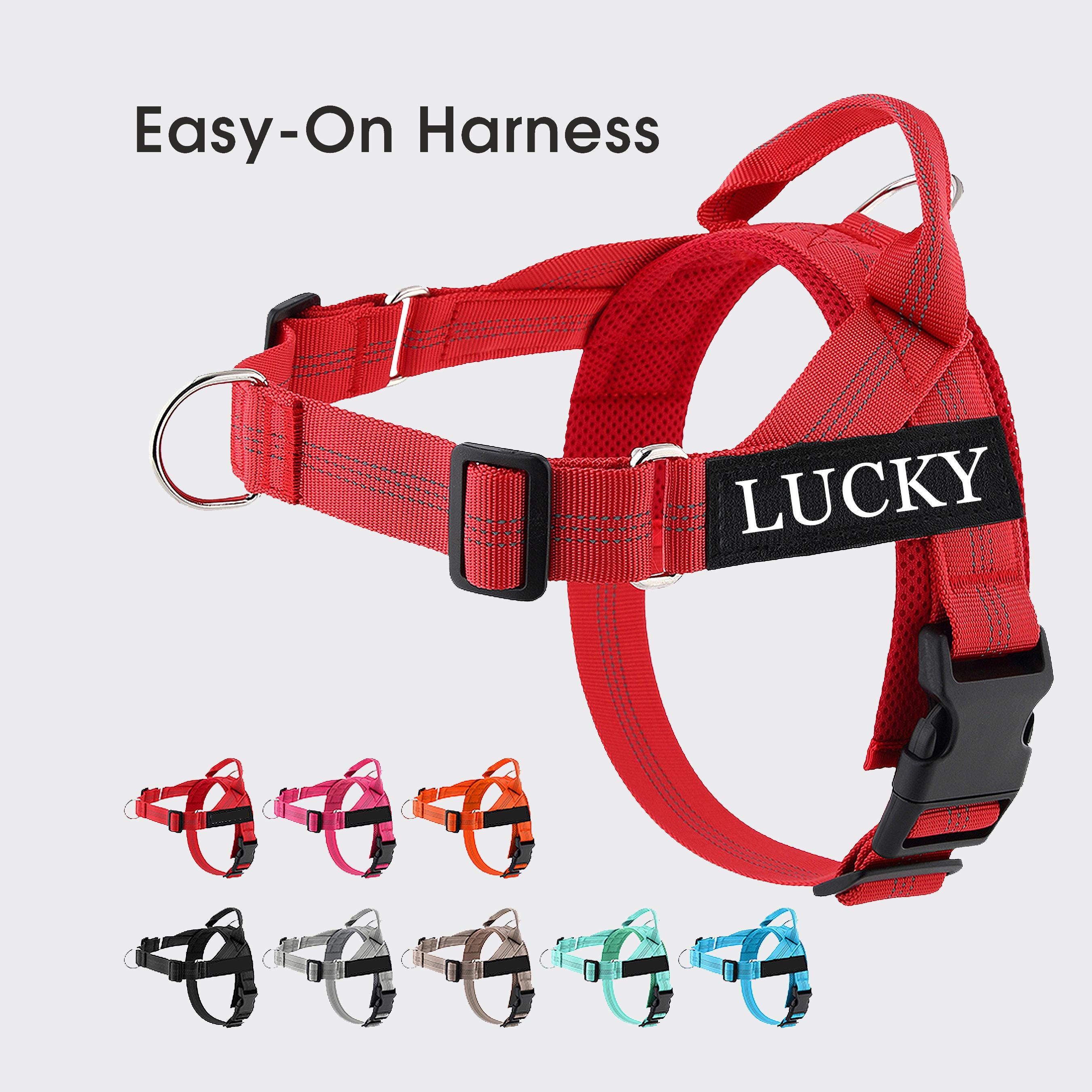 Bundle Black & Brown Harness for @hannah_mulkey Womens Black Harness - Etsy main image 2